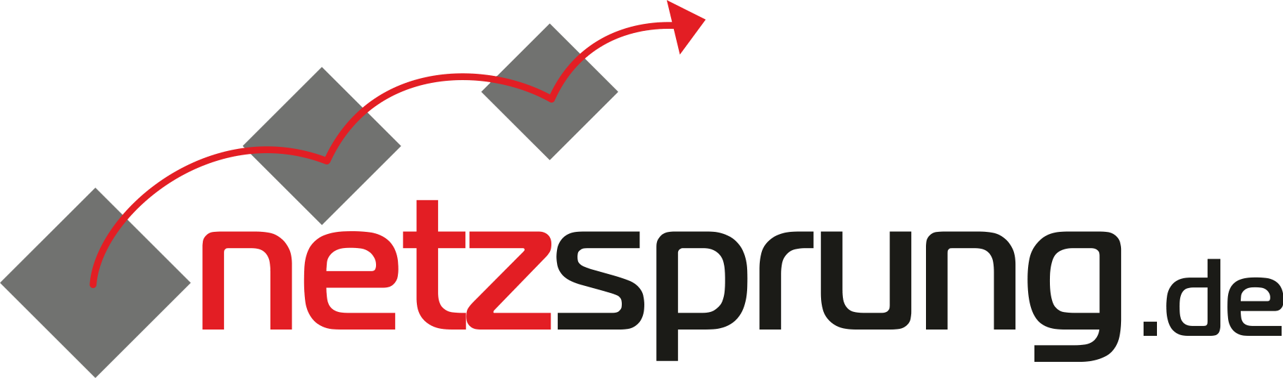 NetzSprung